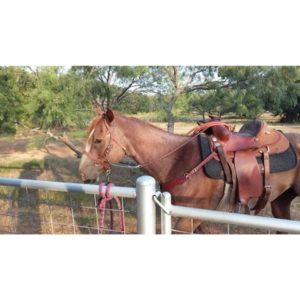 BuckBuster Halter - Image 5