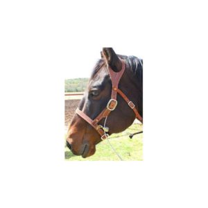 BuckBuster Halter - Image 4