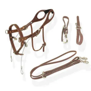 BuckBuster Bridle